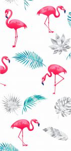 flamingi_20